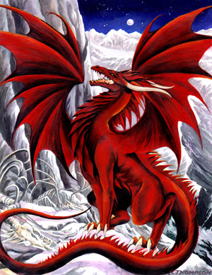 draci 5.jpg